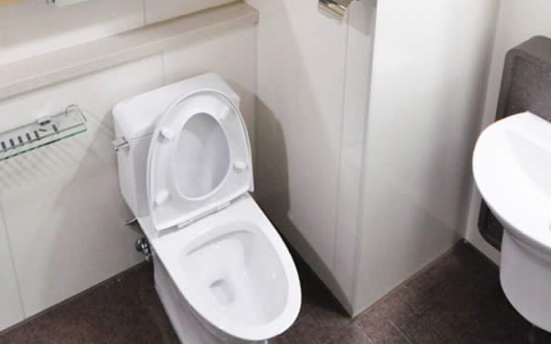 Desentupir Vaso Com Água Quente,Funciona?