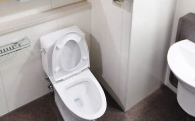 Desentupir Vaso Com Água Quente,Funciona?