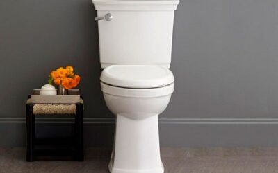 Saiba Como Desentupir Vaso em 1 Minuto