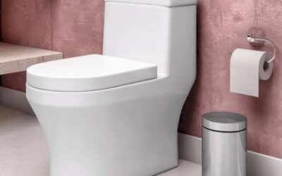 Como Desentupir Vaso Sanitário com Sabão em Pó