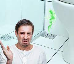 Ralo do Banheiro Entupido e Com Mau Cheiro?