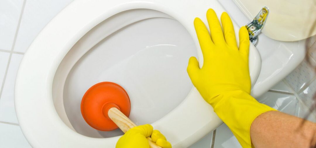 Desentupimento de Vaso Sanitário de Maneira Fácil