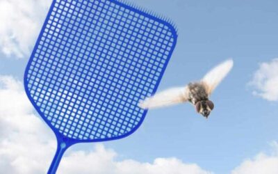 Como Espantar Moscas