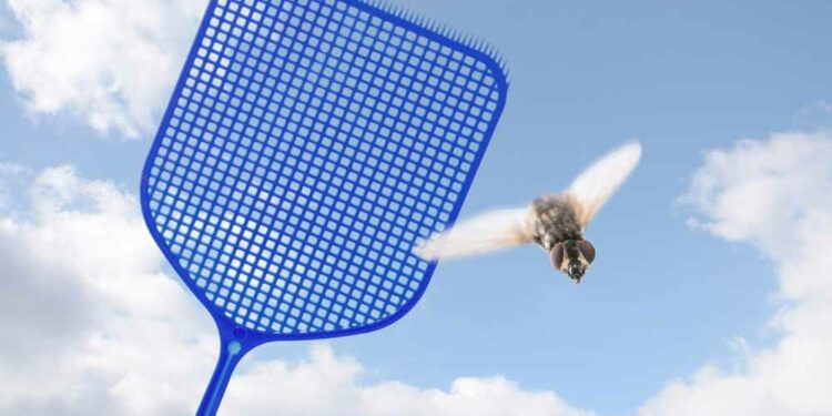Como Espantar Moscas
