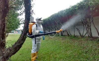 Dedetização de Mosquitos