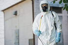 Dedetização de Aranha: Saiba Como Funciona!