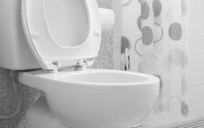 Técnicas Caseiras Para o Desentupimento de Vaso Funcionam?