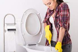 Dicas Que Ajudam no Desentupimento de Vaso Sanitário