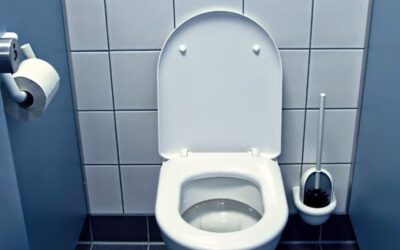 Descubra Como Prevenir Entupimento de Vaso Sanitário