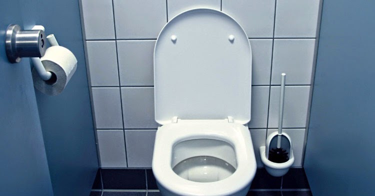 Descubra Como Prevenir Entupimento de Vaso Sanitário