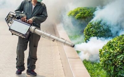 Vai Dedetizar um Apartamento Veja os Cuidados