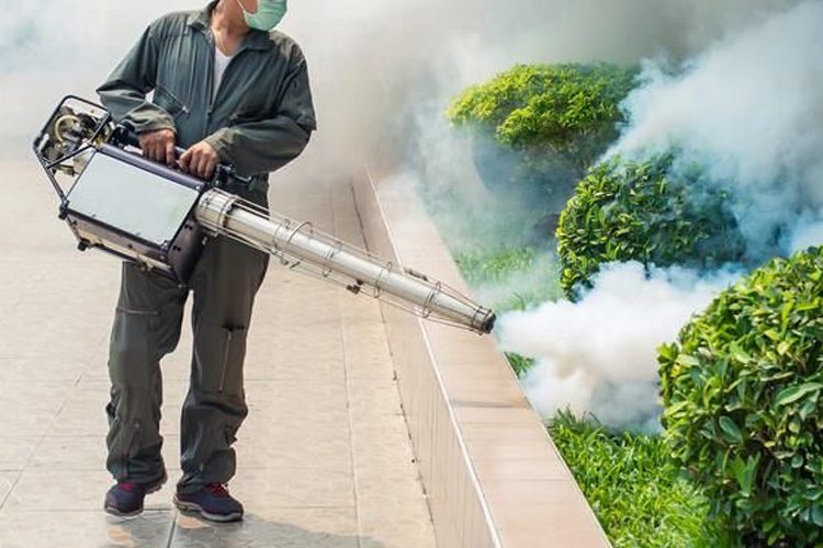 Vai Dedetizar um Apartamento Veja os Cuidados