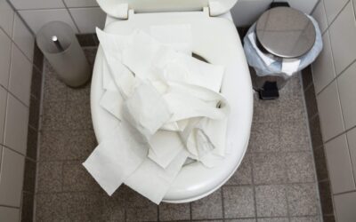 Como Desentupir Vaso Sanitário Com Papel Higiênico