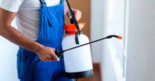 Dedetização Residencial – Como Funciona?
