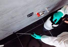 Como é Feita a Dedetização no Apartamento?