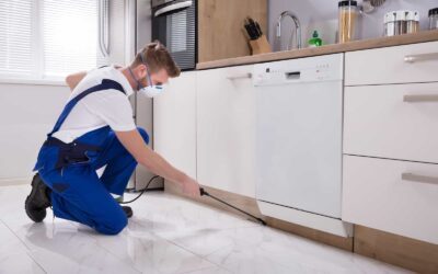 Como Contratar uma Dedetizadora?