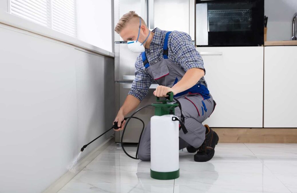 Saiba Tudo Sobre Dedetização