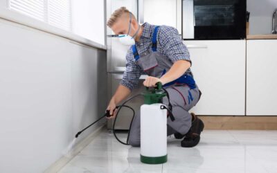 Saiba Tudo Sobre Dedetização