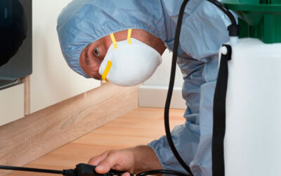 O que é Dedetização?