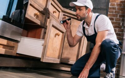 Dedetização de Escorpião: Como é o Processo