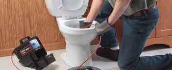 Algum Momento Precisará de Desentupidora de Vaso