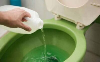 Desentupidora de Vaso Coisas Que Não Deve Jogar na Privada