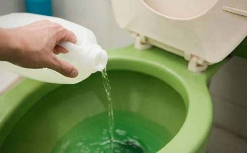 Desentupidora de Vaso Coisas Que Não Deve Jogar na Privada