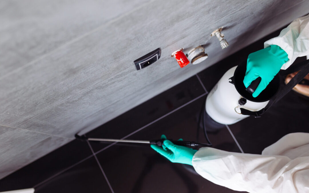 DEDETIZAÇÃO E CONTROLE DE ESCORPIÕES