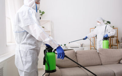 A Dedetização é a Melhor Forma de Combater os Escorpiões